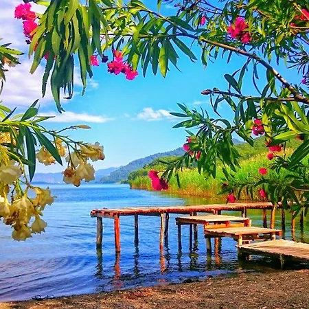 Nish Caria Dalyan