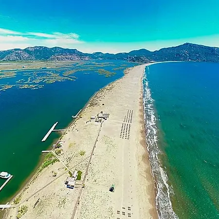 Отель Nish Caria